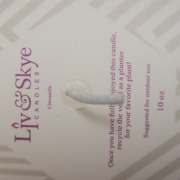 Liv & Skye Accents Face Citronella Candle Poshmark